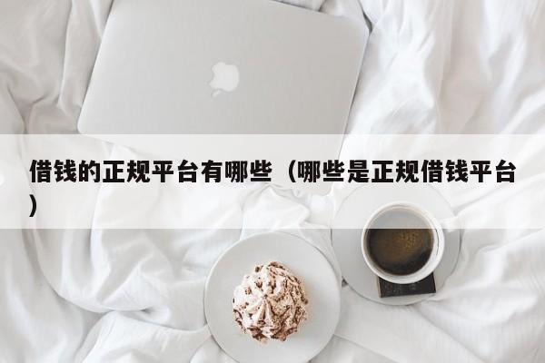借钱的正规平台有哪些（哪些是正规借钱平台）