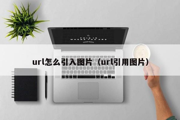 url怎么引入图片（url引用图片）