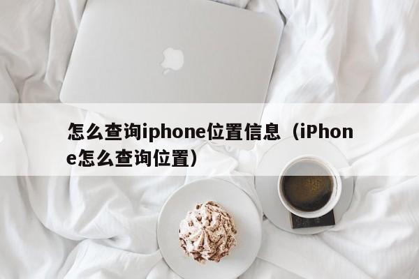 怎么查询iphone位置信息（iPhone怎么查询位置）