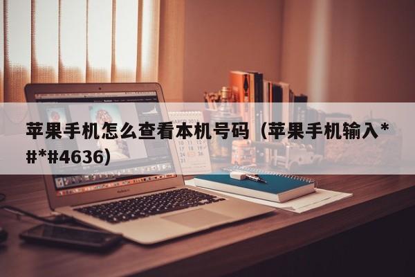 苹果手机怎么查看本机号码（苹果手机输入*#*#4636）